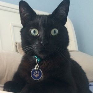 Meet your Posher, Adrian